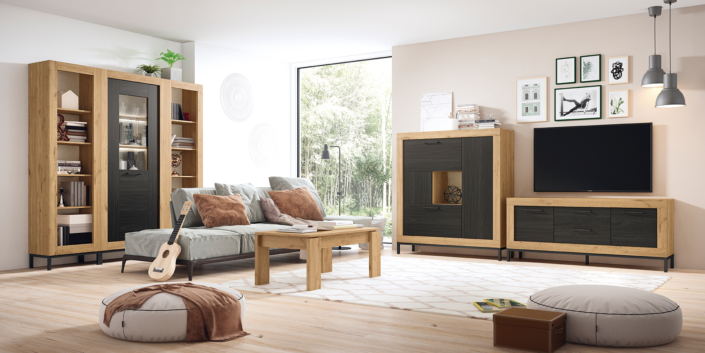 Tienda de muebles en Arnedo - salón con guitarra en el sofá